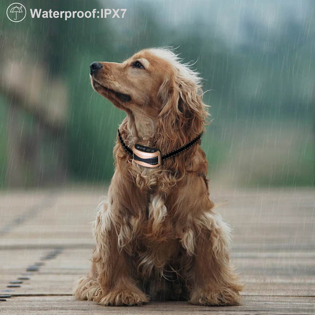 Rechargeable Rainproof Anti No Bark Shock Dog Trainer Stop Barking Dog Training Collar