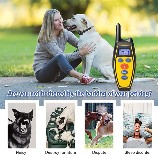 2 in 1 Dog Training Collar Automatic Anti Bark Control with Remote Rechargeable and Rainproof